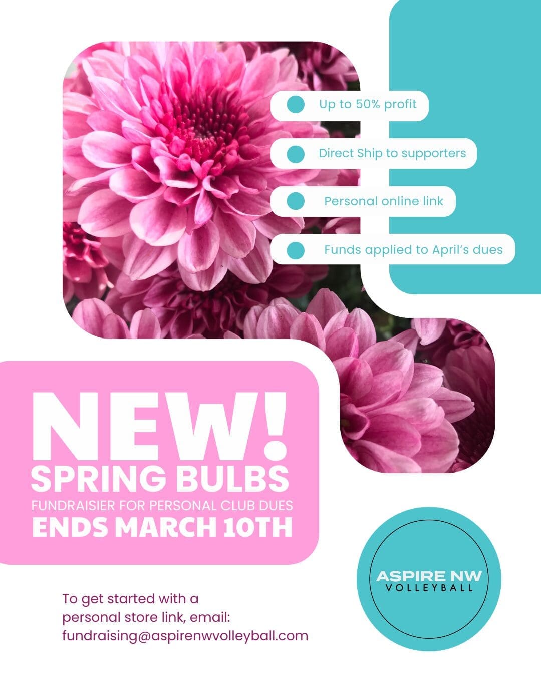 Copy of Copy of Copy of Copy of Copy of Aspire NW Iron Maidens #1