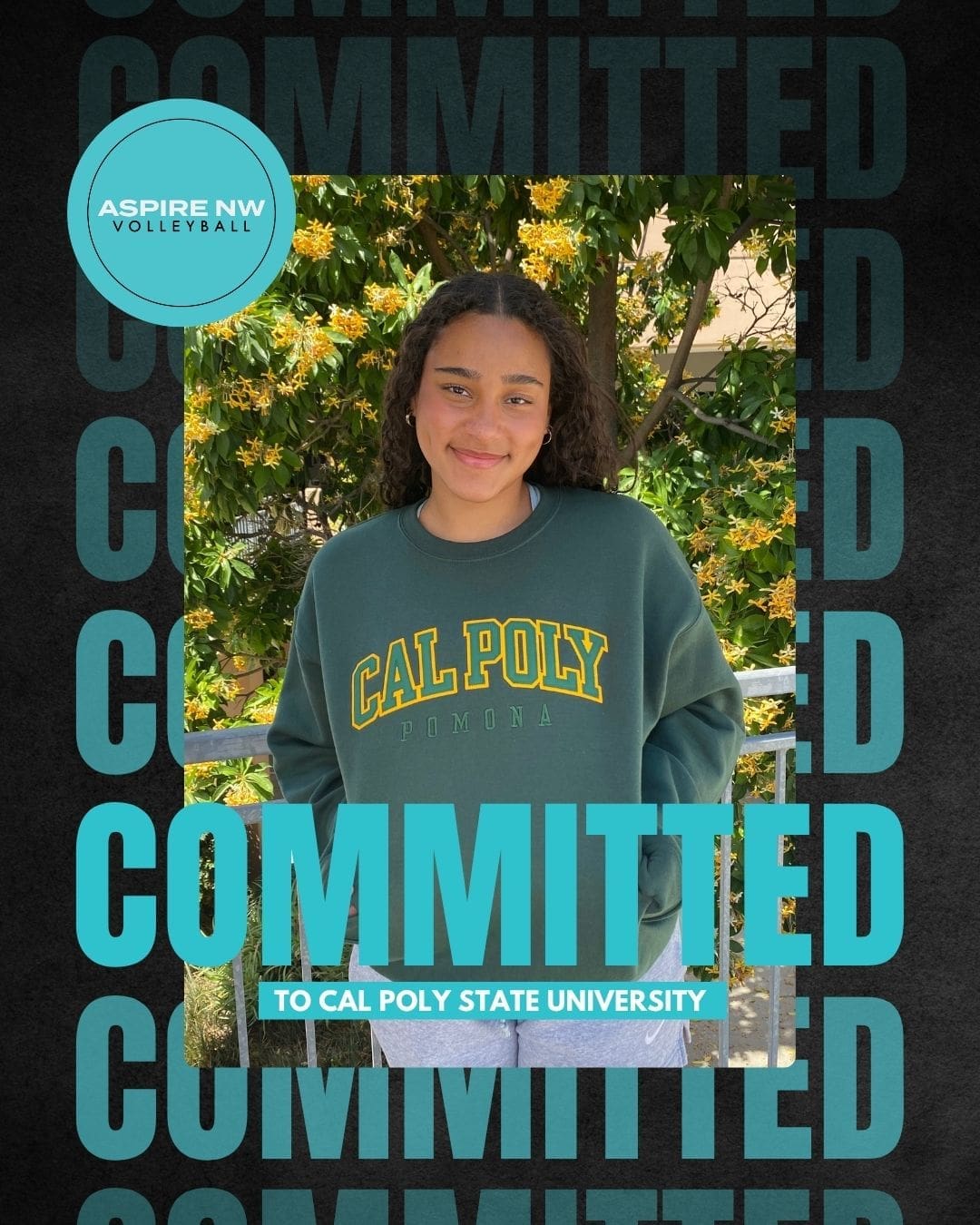 Copy of Aspire NW Committed Post